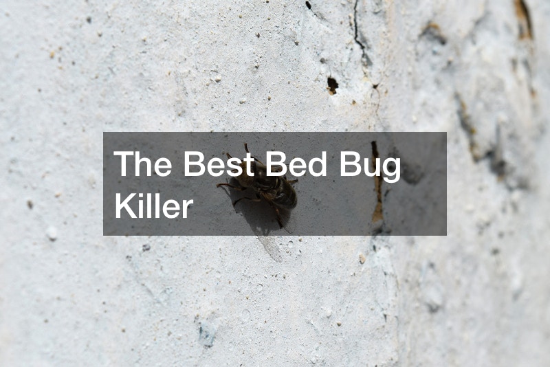 bed bug control services