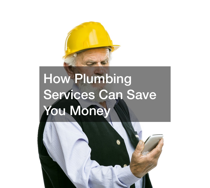 How Plumbing Services Can Save You Money