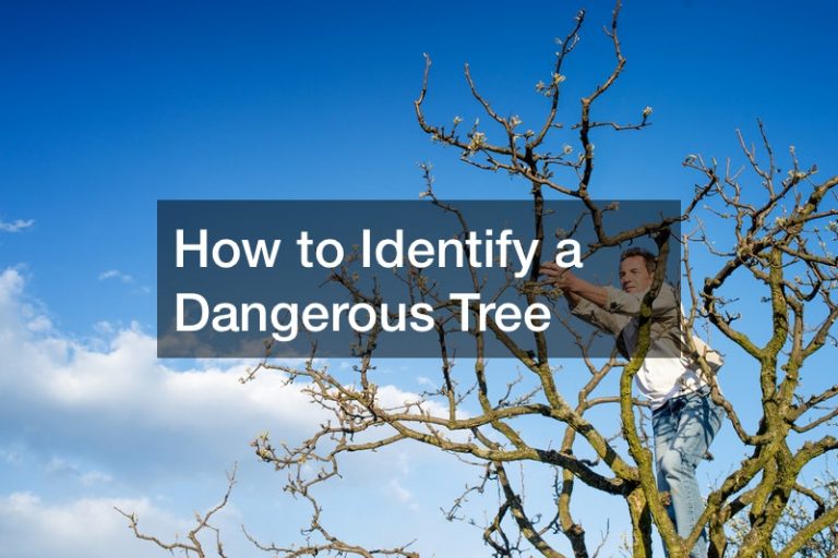 how-to-identify-a-dangerous-tree-great-conversation-starters