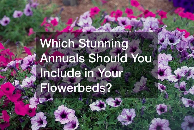 Which Stunning Annuals Should You Include in Your Flowerbeds? Great