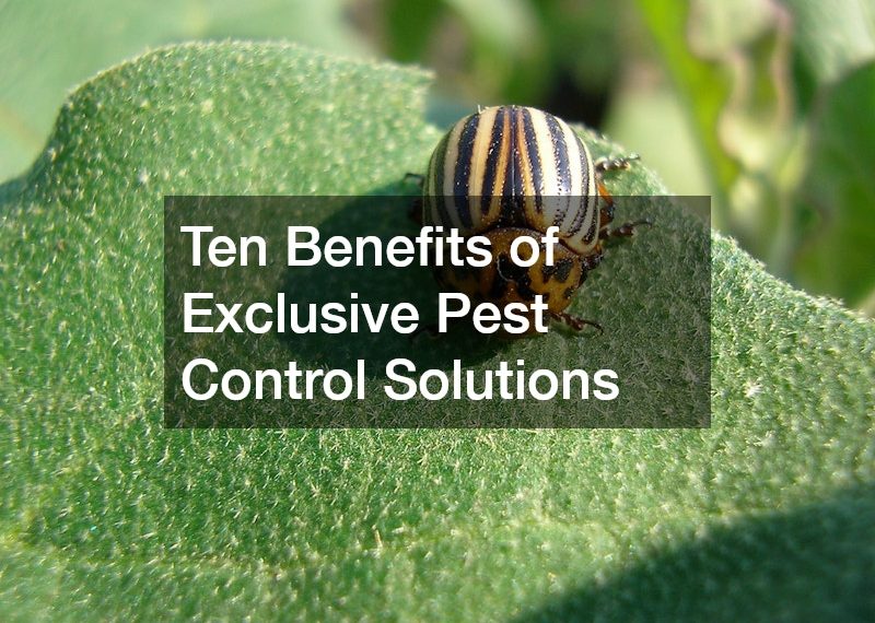 Ten Benefits of Exclusive Pest Control Solutions