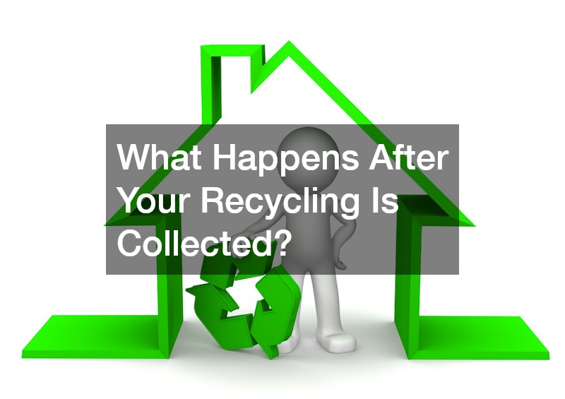 What Happens After Your Recycling Is Collected?